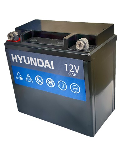 Купить бензиновый генератор Hyundai HHY9750FE-ATS (Максимальная мощность 7,5 кВт)